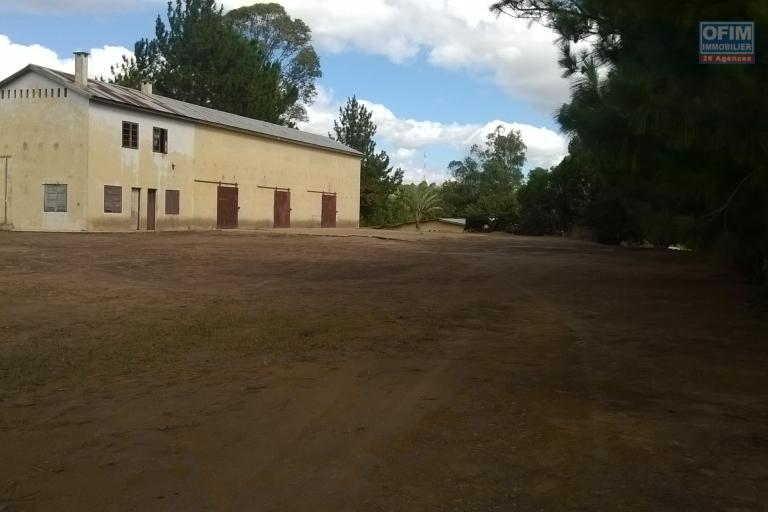 A vendre, un terrain de 4HA, arboré avec deux bâtis, en bord de route à Manandriana Ifasy - Antananarivo