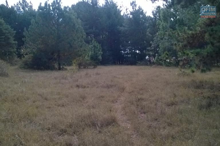 A vendre, un terrain de 4HA, arboré avec deux bâtis, en bord de route à Manandriana Ifasy - Antananarivo