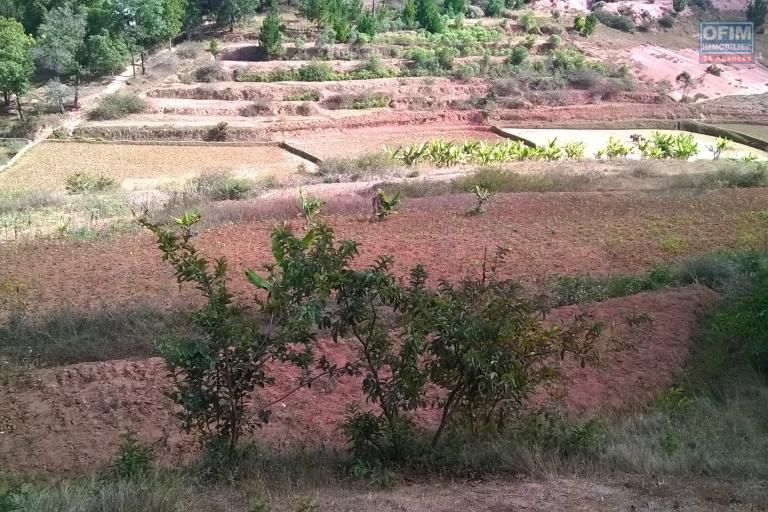 A vendre, un terrain de 4HA, arboré avec deux bâtis en dur en bord de route à Manandriana Ifasy - Antananarivo