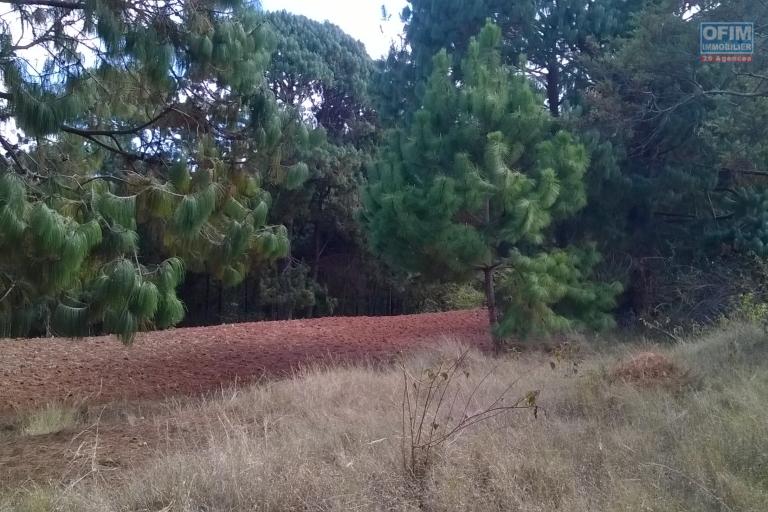 A vendre, un terrain de 4HA, arboré avec deux bâtis, en bord de route à Manandriana Ifasy - Antananarivo