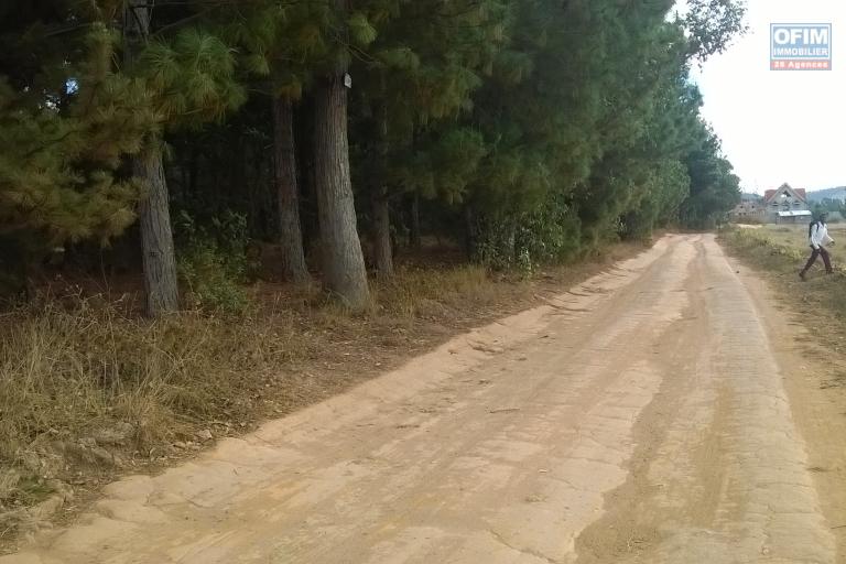 A vendre, un terrain de 4HA, arboré avec deux bâtis, en bord de route à Manandriana Ifasy - Antananarivo