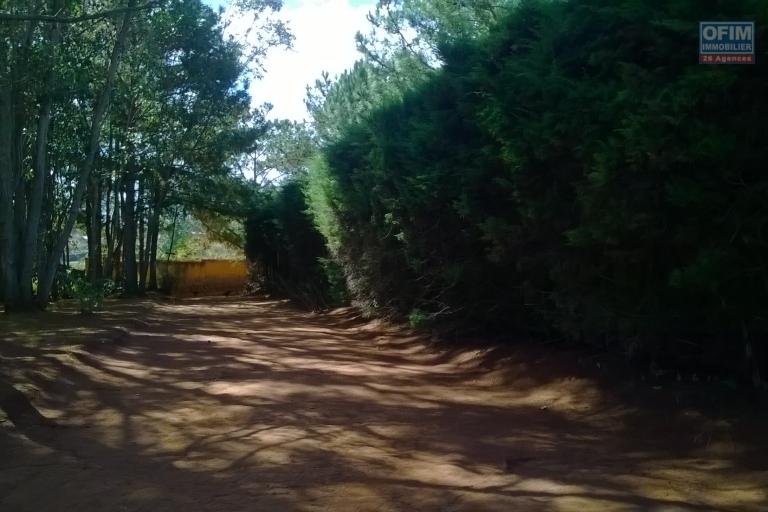 A vendre, un terrain de 3Ha55a10Ca, facile d'accès, en bord de route à Antanambao Avaratra-Antananarivo