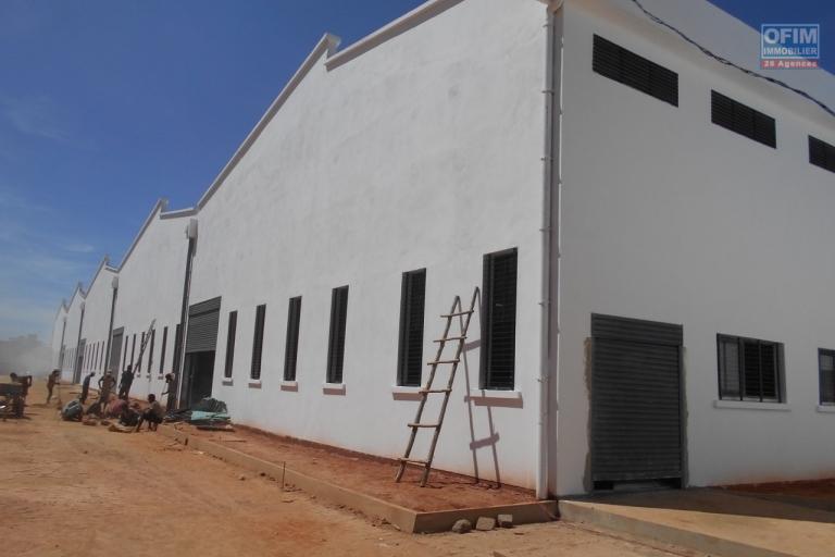 OFIM offre en location un entrepôt neuf de 5000m2 à Anosizato