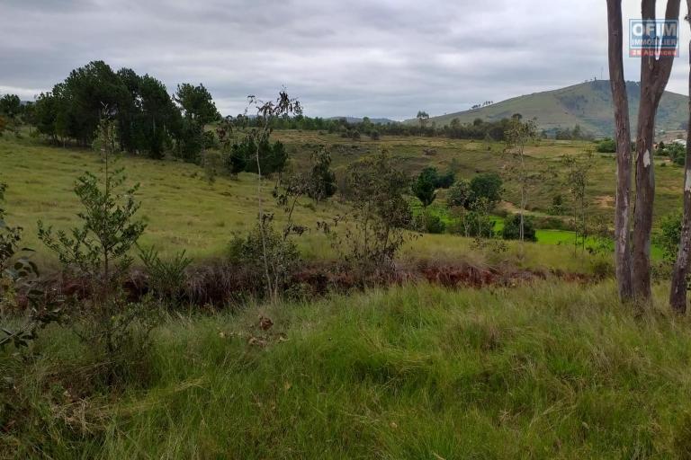 A vendre terrain de 4160 m2 à Tsimahandry - Ambohidratrimo