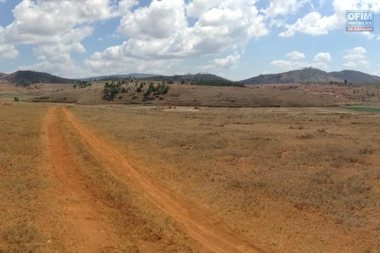 terrain prêt à bâtir - 3ha500 - Alakamisy Ambohidratrimo