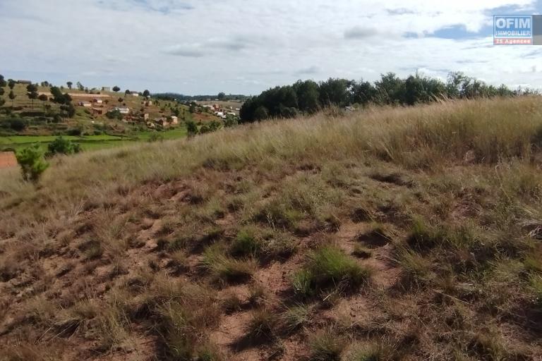 A vendre, un grand terrain de 2HA 45 A 63CA à Betsizaraina Ambatomandeha - Antananarivo