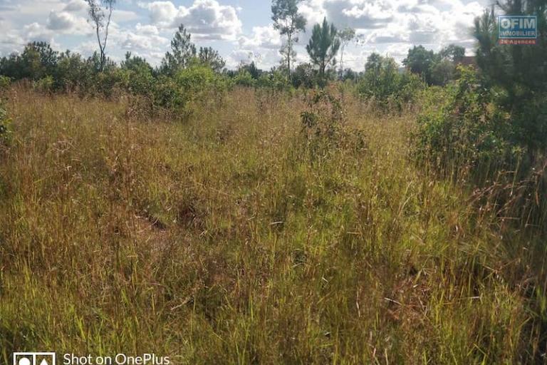 A vendre beau terrain de 1680m2 sur la RN3