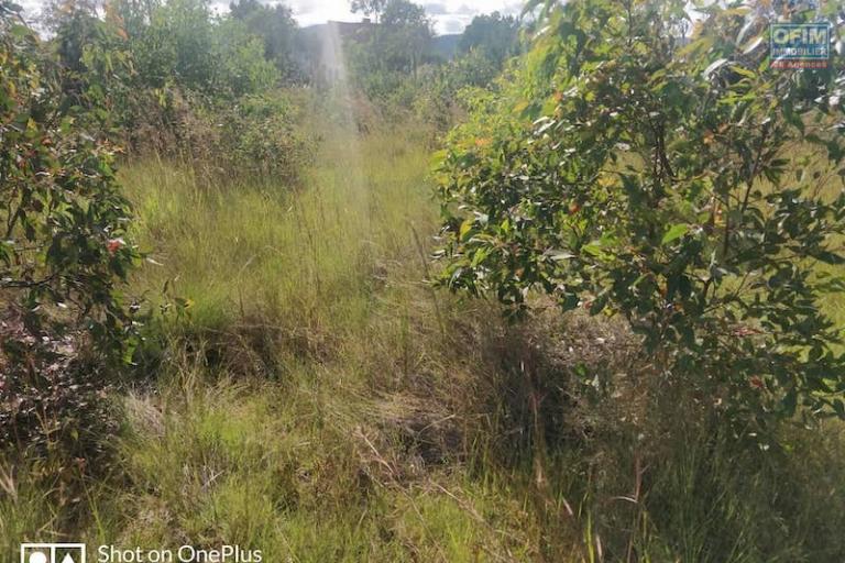 A vendre beau terrain de 1680m2 sur la RN3