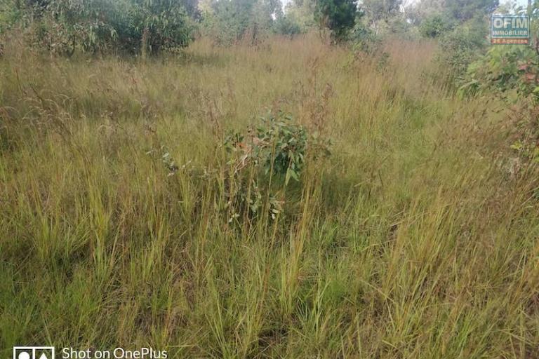 A vendre beau terrain de 1680m2 sur la RN3