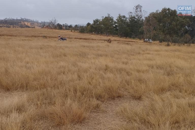 Terrain plat, prêt à bâtir, bord de route principale, d'une superficie de 5 394 m2 à Ambohimarina Ivato- Antananarivo