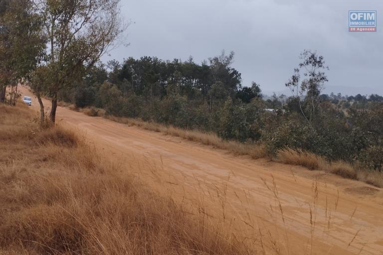 Terrain plat, prêt à bâtir, bord de route principale, d'une superficie de 5 394 m2 à Ambohimarina Ivato- Antananarivo