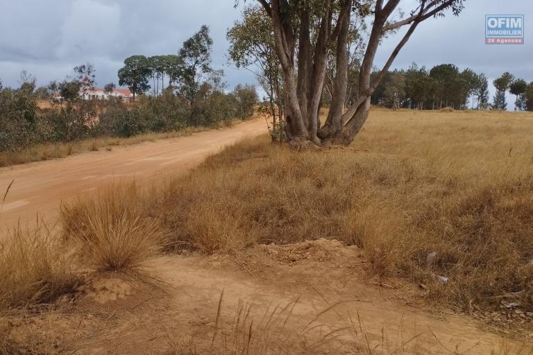 Terrain plat, prêt à bâtir, bord de route principale, d'une superficie de 5 394 m2 à Ambohimarina Ivato- Antananarivo