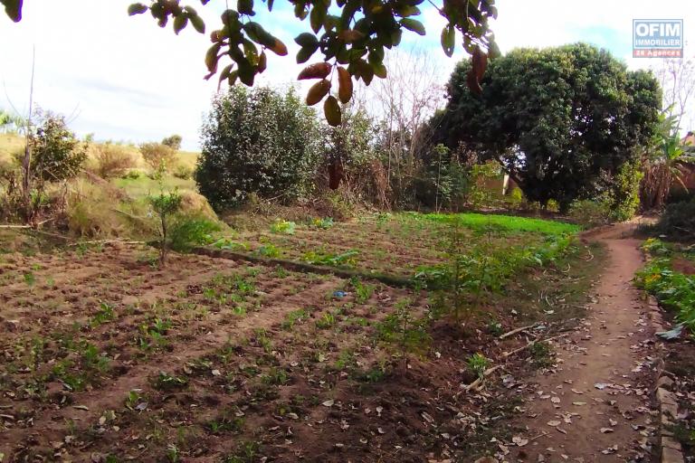 Une grande propriété de 9 000 m2, arboré avec 2 étangs en bord de rizière à Itaosy- Antananarivo