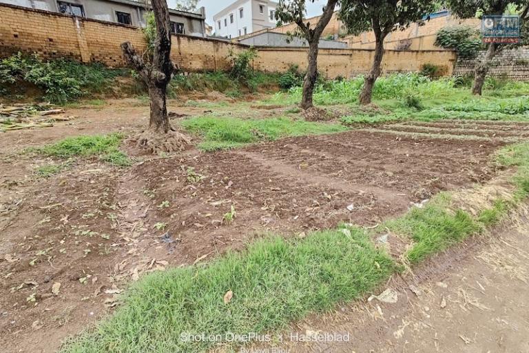 a vendre beau terrain de 2000 M2 morcelable à ivato ( non disponible )