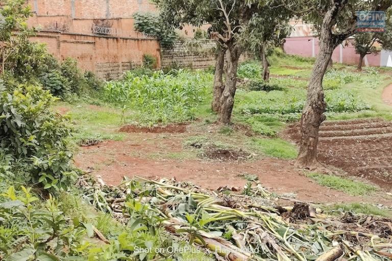 a vendre beau terrain de 2000 M2 morcelable à ivato ( non disponible )