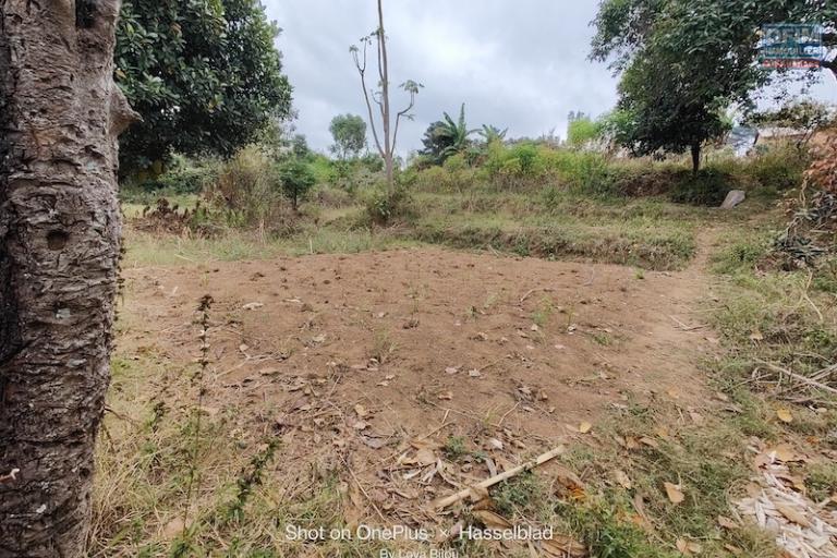 Exceptionnel beau terrain de 2625 M2 &agrave; vendre pr&egrave;s de l'a&eacute;roport. Contact Mr Jacky +261 34 02 443 04