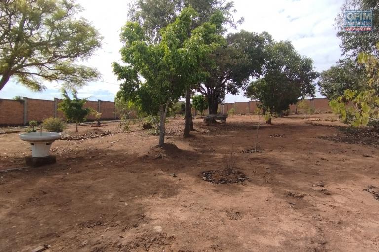 Grand terrain entièrement clôturé de 1ha 53 ca sis à Antsampandrano Ilafy