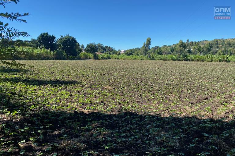 Un terrain de 1Ha 53A 09Ca à Analavory Ampefy ( Région Itasy )