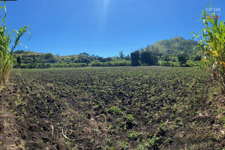 Un terrain de 1Ha 53A 09Ca à Analavory Ampefy ( Région Itasy )