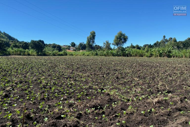 Un terrain de 1Ha 53A 09Ca à Analavory Ampefy ( Région Itasy )