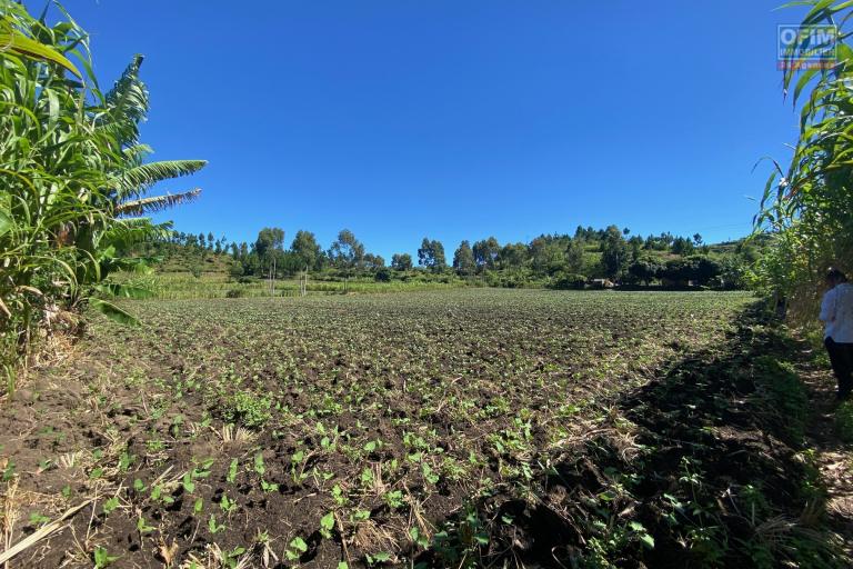 Un terrain de 1Ha 53A 09Ca à Analavory Ampefy ( Région Itasy )