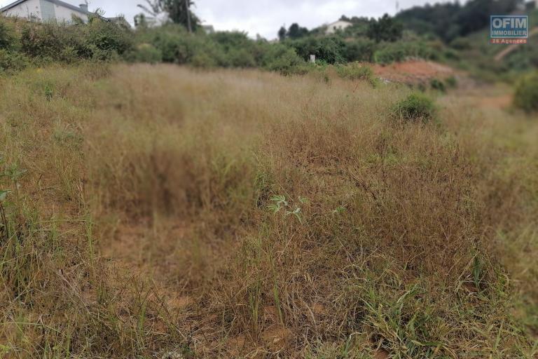 En vente un terrain de 1073m2 l&eacute;g&egrave;rement en pente sur Ambolonkandrina. Contact rapide