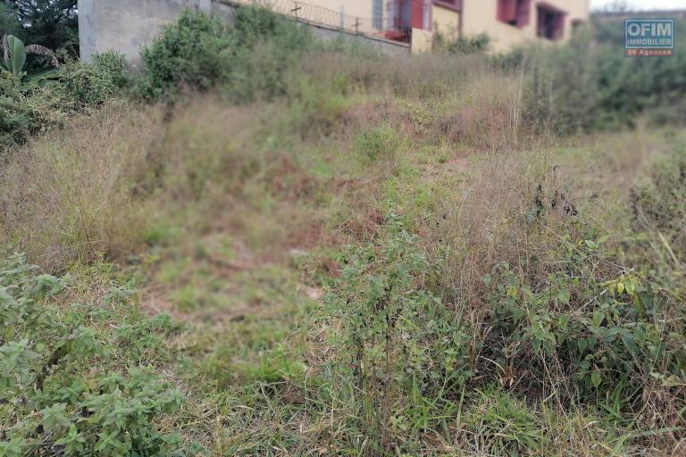 En vente un terrain de 1073m2 l&eacute;g&egrave;rement en pente sur Ambolonkandrina. Contact rapide