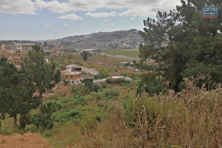 En vente un terrain de 1073m2 légèrement en pente sur Ambolonkandrina. Contact rapide 034 02 443 04