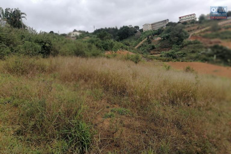 En vente un terrain de 1073m2 légèrement en pente sur Ambolonkandrina. Contact rapide 034 02 443 04