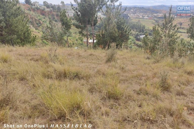 A vendre terrain de 1000M2 à miadana Alasora. Contact Mr Jacky +261 34 02 443 04