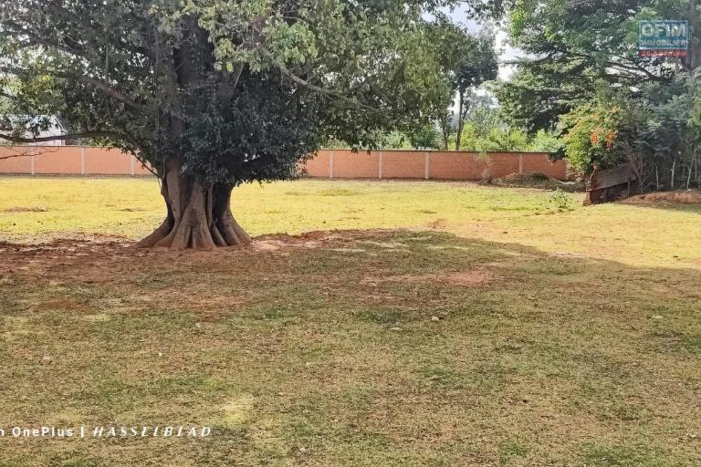 A VENDRE - Beau terrain constructible, clôturer, dans un secteur stratégique à Antanetibe Ivato, contact rapide : jacky@ofim.mg