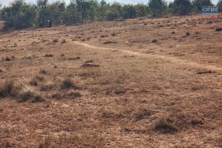 Terrain viabilis&eacute; de 14 825 m2 &agrave; vendre - Manakambahiny Anosiala moins de 5 mn de la route nationale N4, contact Mr Jacky