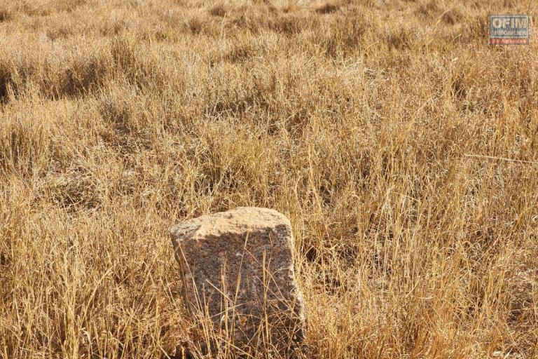 Terrain viabilis&eacute; de 14 825 m2 &agrave; vendre - Manakambahiny Anosiala moins de 5 mn de la route nationale N4, contact Mr Jacky