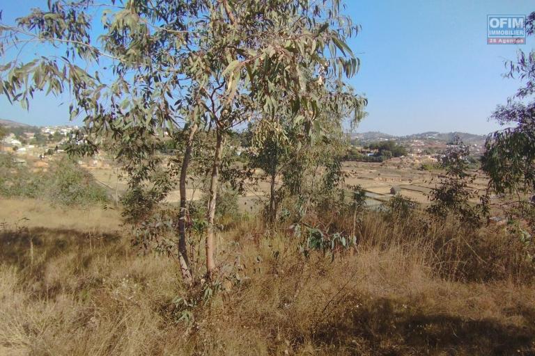 A vendre, un terrain 8 450 m2, avec vue d&eacute;gag&eacute;e sur Beravina- Ilafy (contact FELANA)