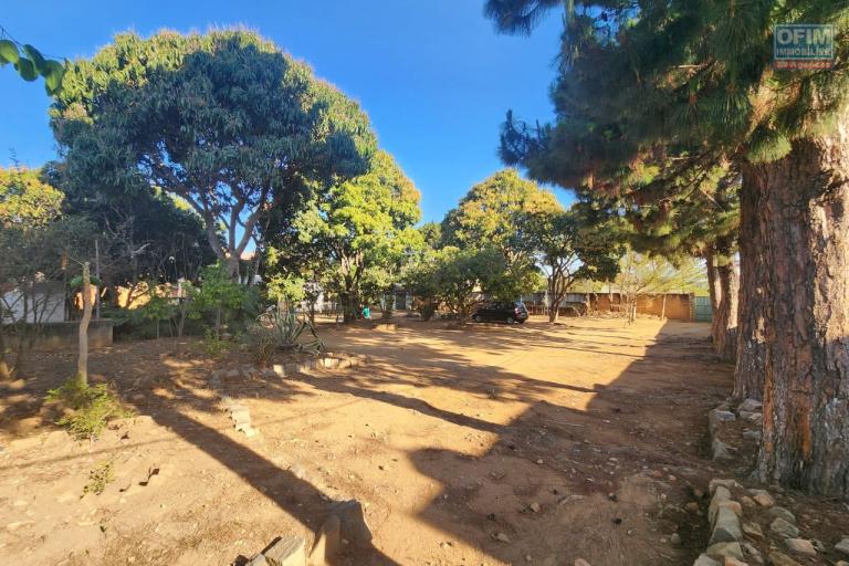 &Agrave; VENDRE - MAISON F6 AVEC GRAND TERRAIN ARBOR&Eacute; DE 2166 m2 &Agrave; IVATO Soavinarivo. CONTACT Mr Jacky