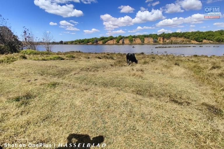 a vendre terrain exceptionnel pieds dans l'eau de 1HA contact 0340244304 Mr Jacky