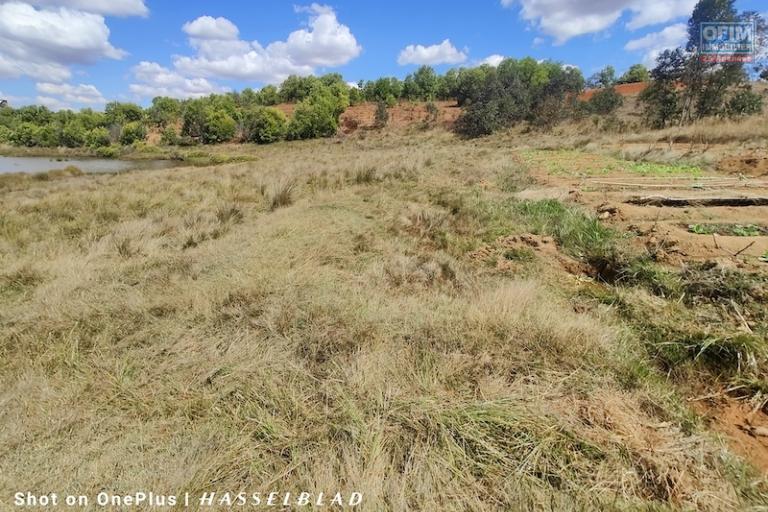 a vendre terrain exceptionnel pieds dans l'eau de 1HA contact 0340244304 Mr Jacky