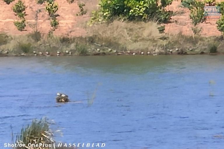 a vendre terrain exceptionnel pieds dans l'eau de 1HA contact 0340244304 Mr Jacky