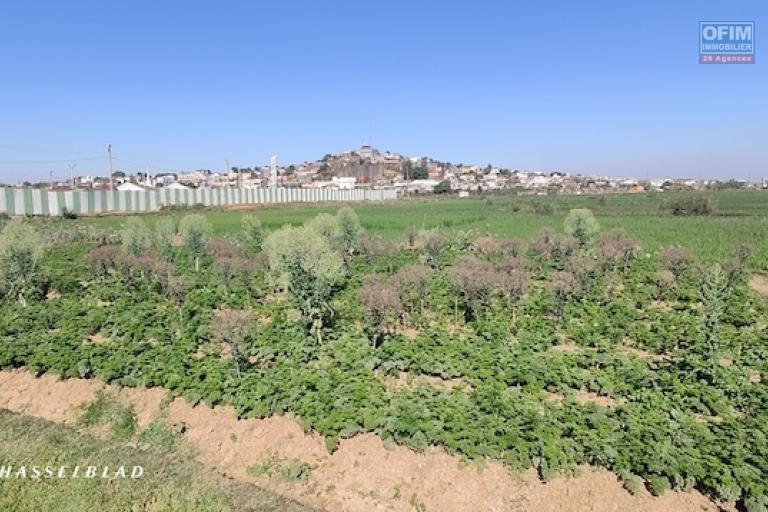 A vendre terrain de 1000 M2 à Andranomena contact 0340244301 MR Lova
