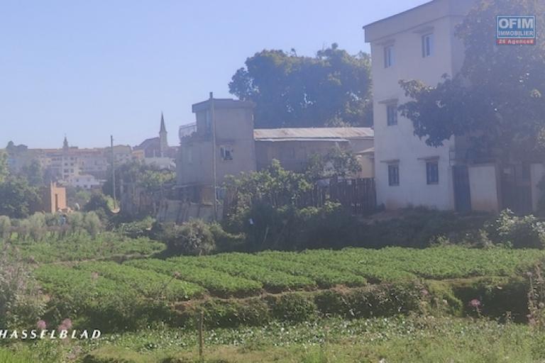 A vendre terrain de 1000 M2 à Andranomena contact 0340244301 MR Lova