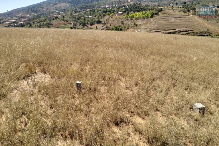 A vendre un terrain de 9000 m2 sur la RN2