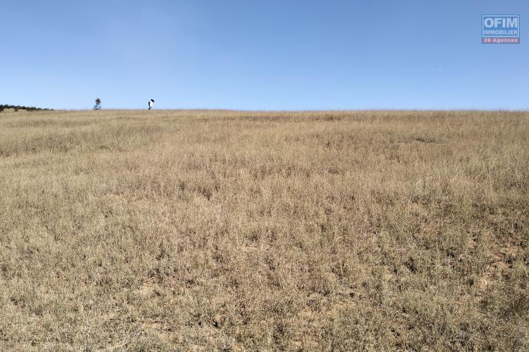 A vendre un terrain de 9000 m2 sur la RN2