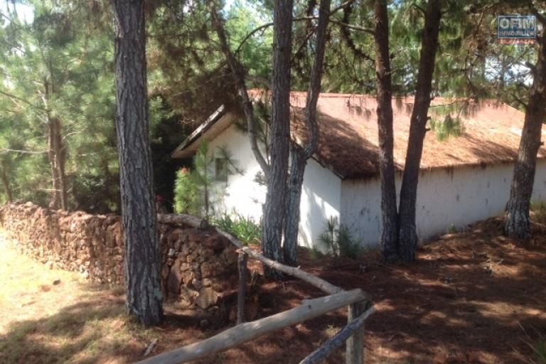 A vendre, beau terrain de 3 500 m2, vue sur le lac avec acc&egrave;s priv&eacute; sur Mantasoa