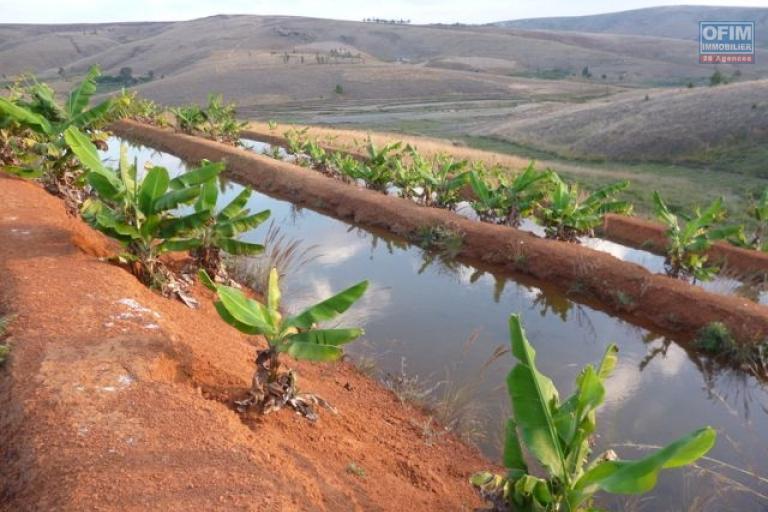 A vendre, Terrain agricole de 25 HA sur Ankazobe- Antananarivo