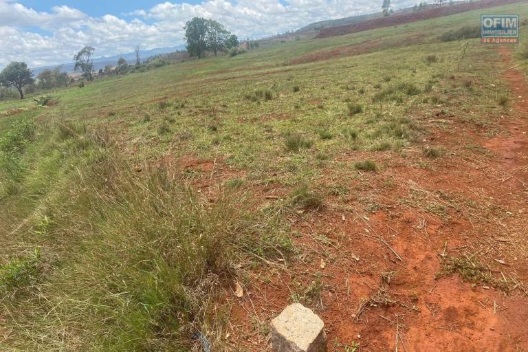 Vente d'un terrain de 7 002 m2 à Arivonimamo