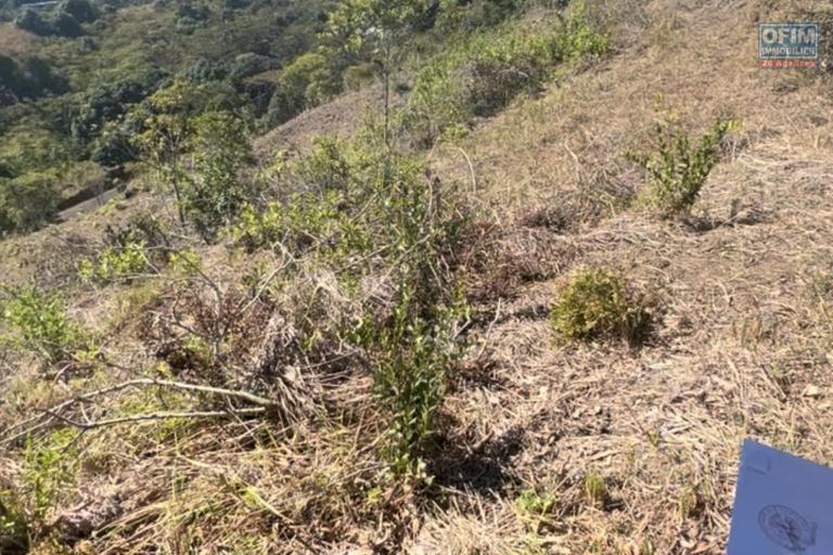 4 parcelles de TERRAINS À VENDRE — MONT PASSOT, NOSY BE