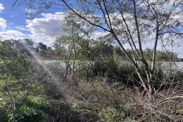 Vente de terrain de 1 525m2, 3 999m2 et de 4 186m2 pied dans l'eau à Ambohibao