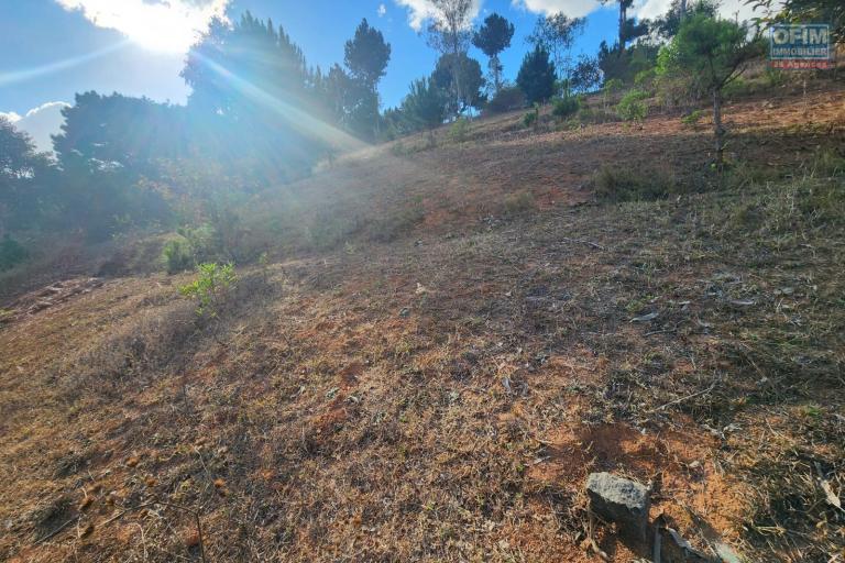 A vendre magnifique terrain de 6 230 m2 sis à Anjomakely Ivato, idéalement situé en bord de route pavée, offrant un accès facile à tout type de véhicule.