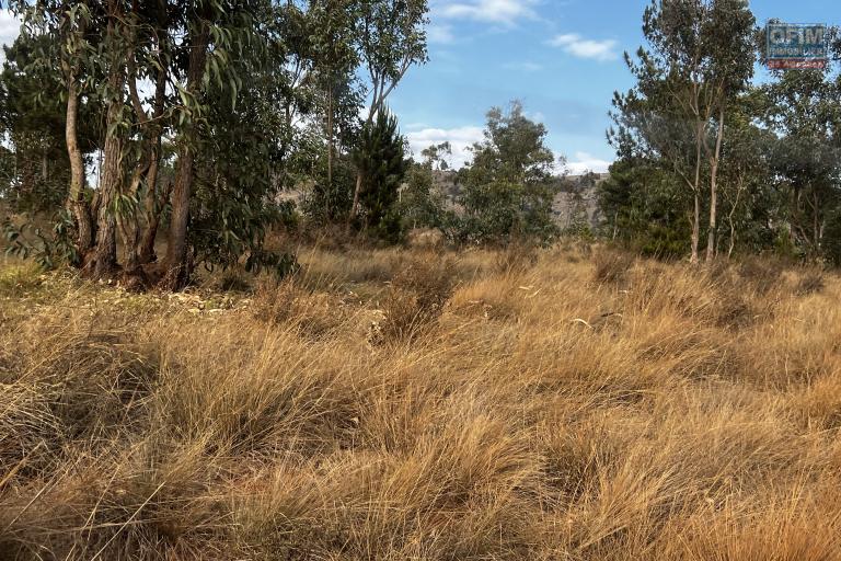 A vendre grand terrain à Imeritsiatosika