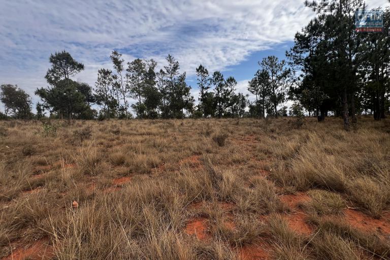 A vendre grand terrain à Imeritsiatosika